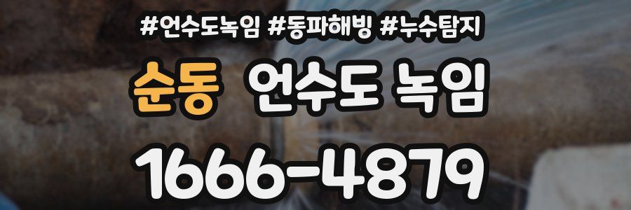 순동 언수도 녹임