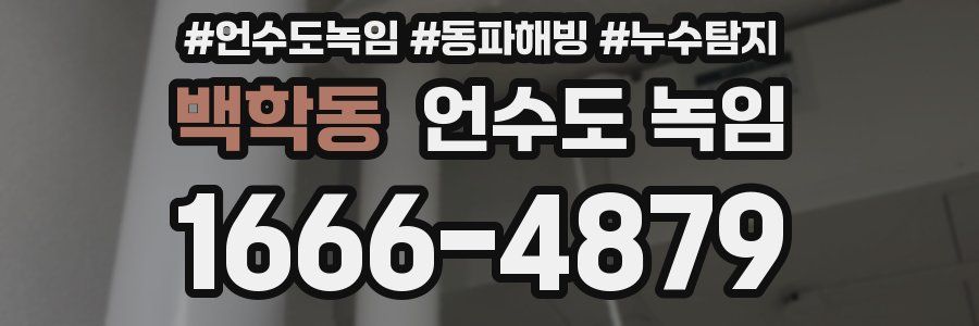 백학동 언수도 녹임