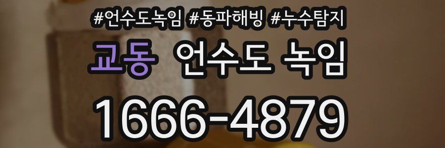 교동 언수도 녹임