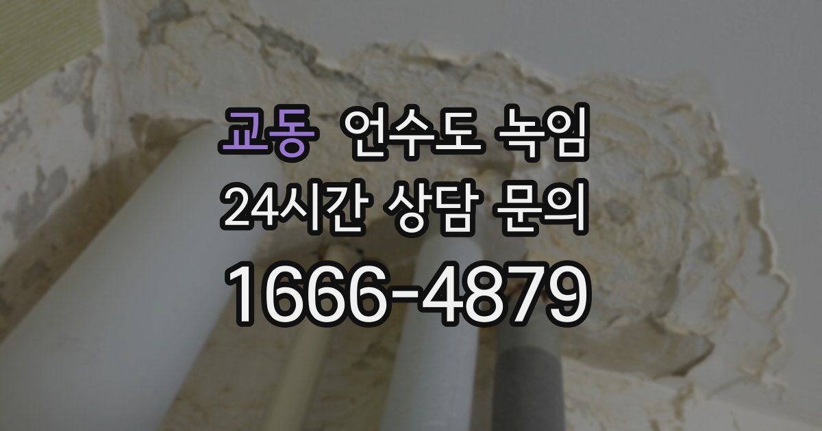 교동 언수도 녹임