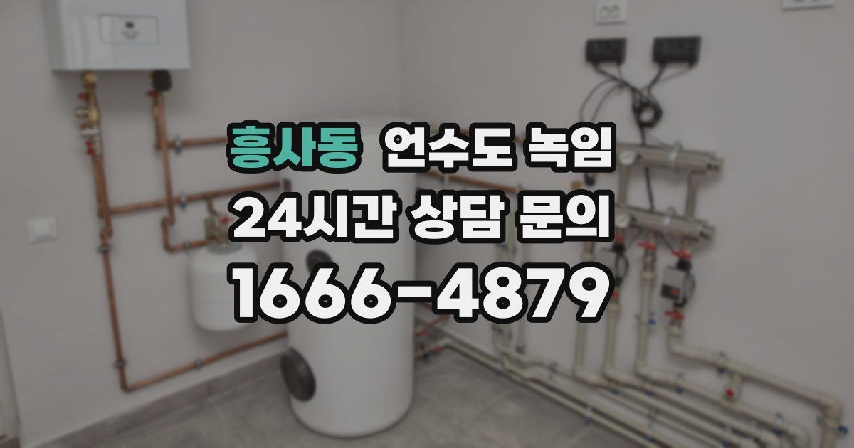 흥사동 언수도 녹임