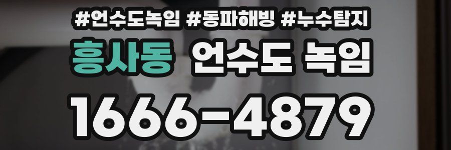 흥사동 언수도 녹임