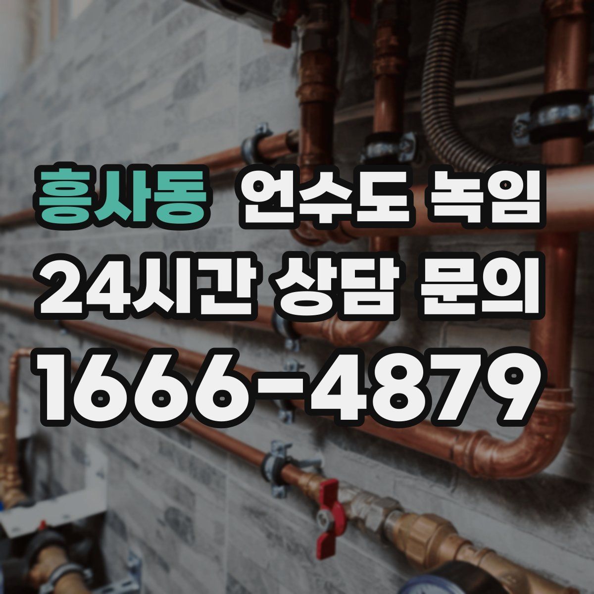 흥사동 언수도 녹임