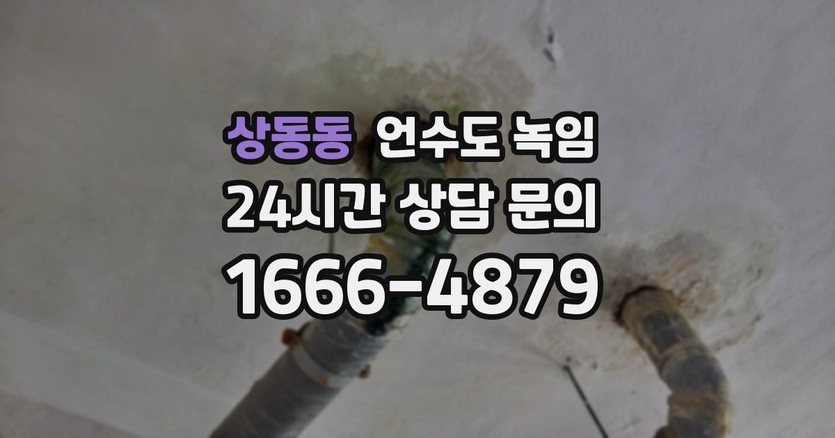 상동동 언수도 녹임