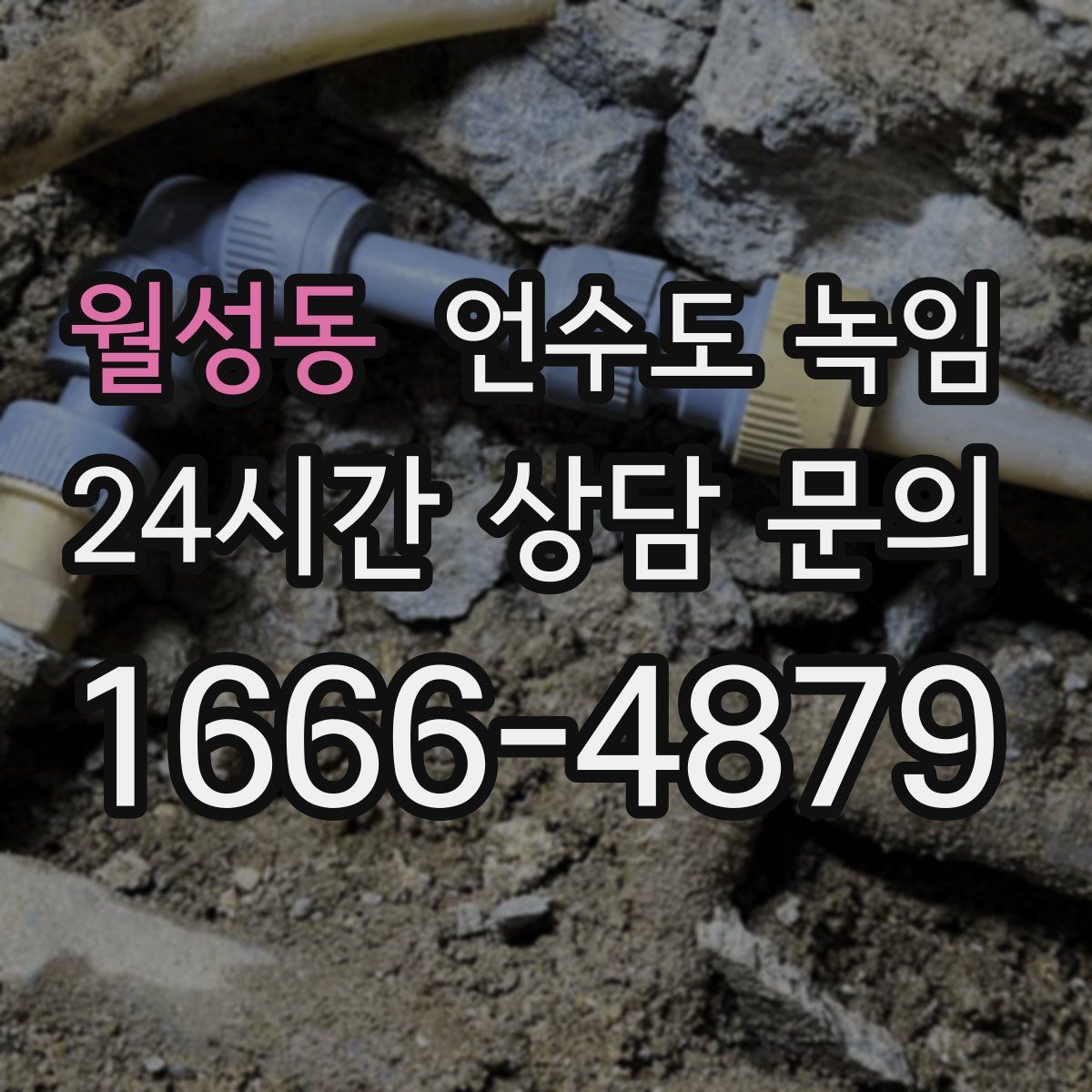 월성동 언수도 녹임