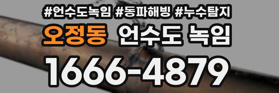 오정동 언수도 녹임