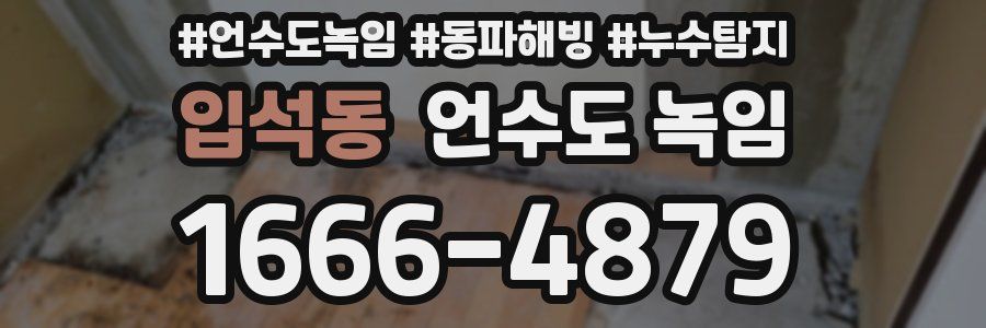 입석동 언수도 녹임