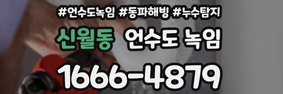 신월동 언수도 녹임