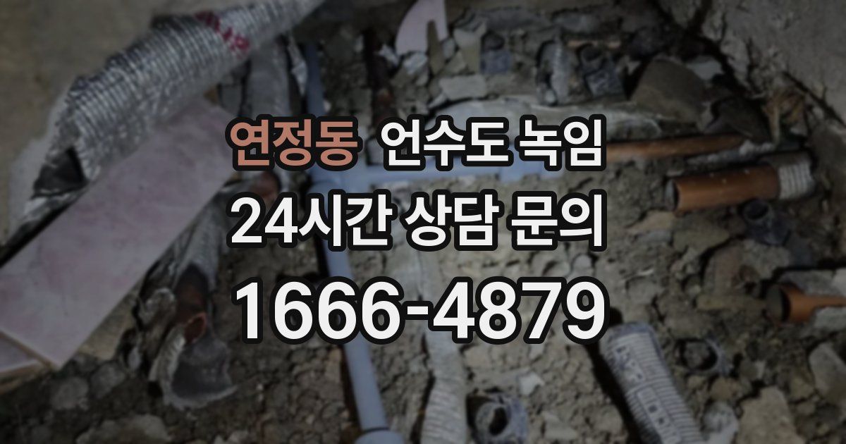 연정동 언수도 녹임