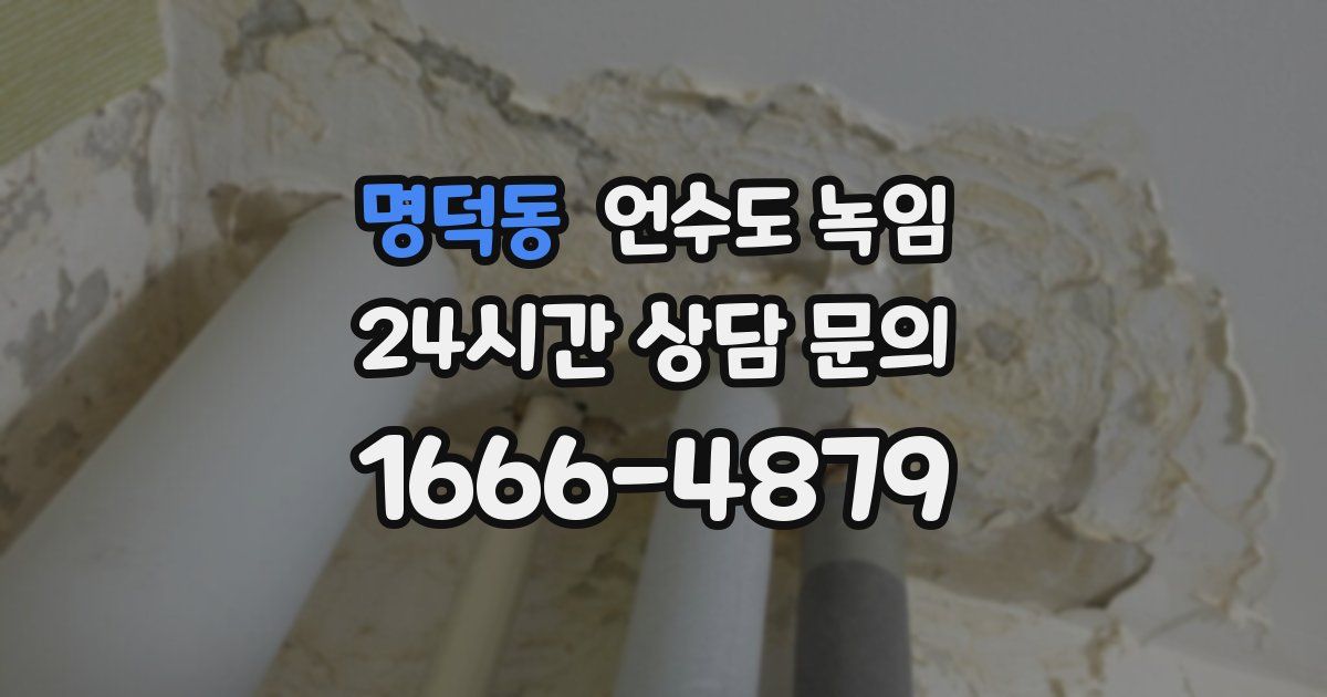 명덕동 언수도 녹임