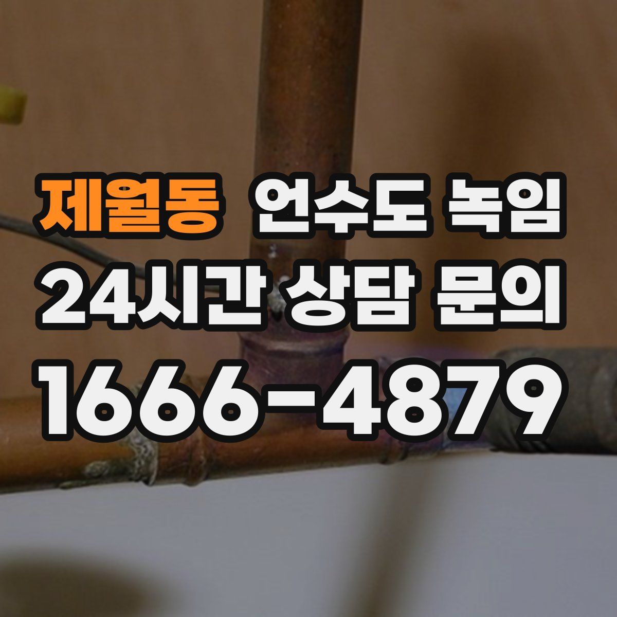 제월동 언수도 녹임