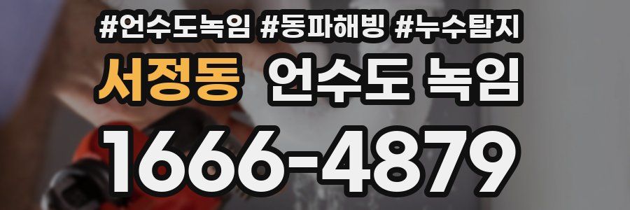 서정동 언수도 녹임