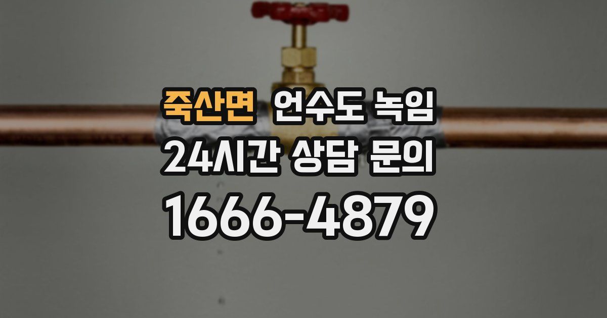 죽산면 언수도 녹임