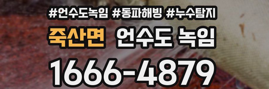 죽산면 언수도 녹임