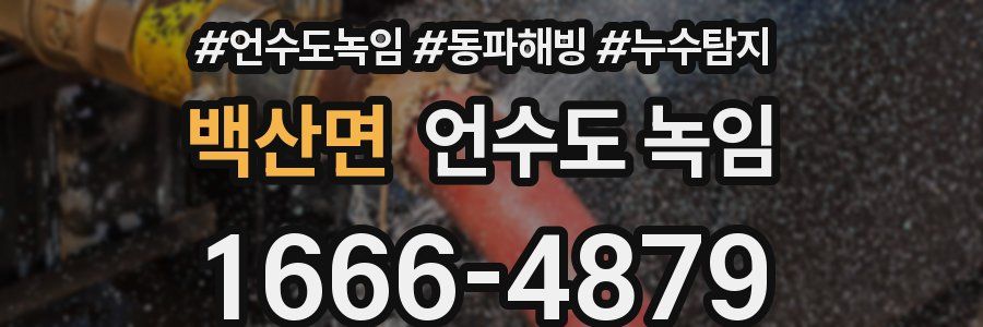 백산면 언수도 녹임