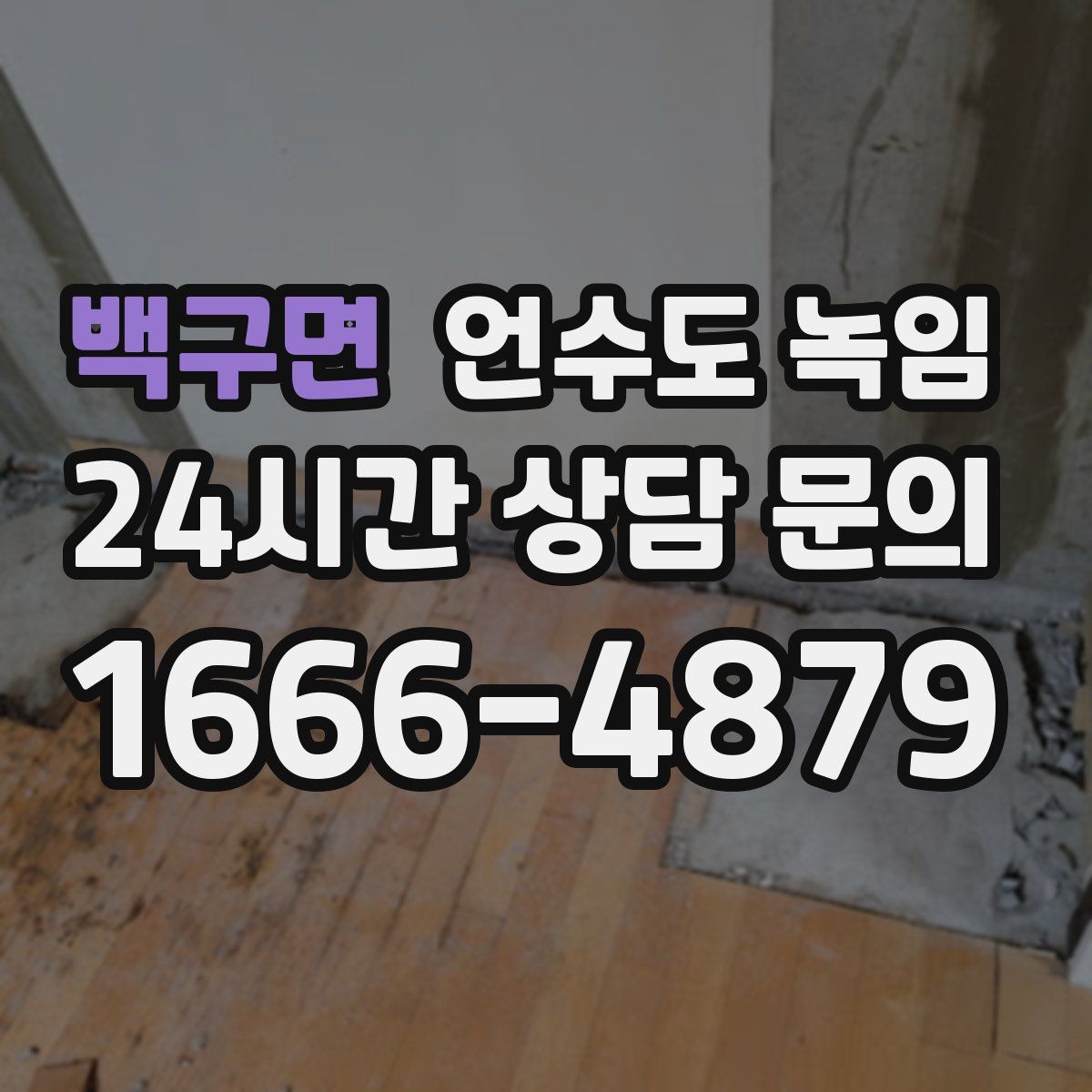 백구면 언수도 녹임