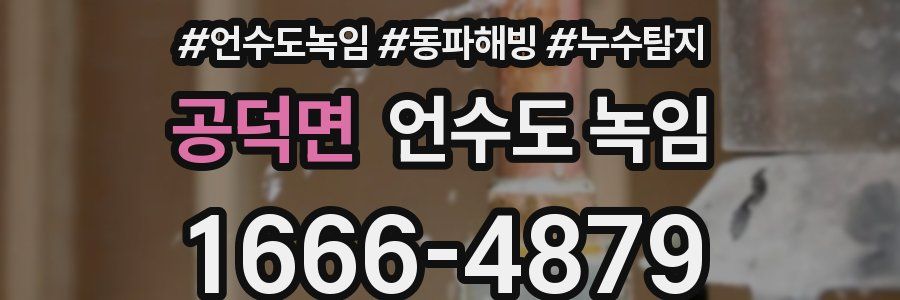 공덕면 언수도 녹임