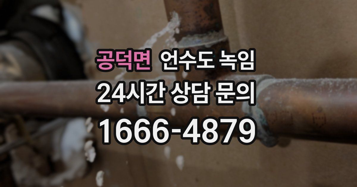 공덕면 언수도 녹임