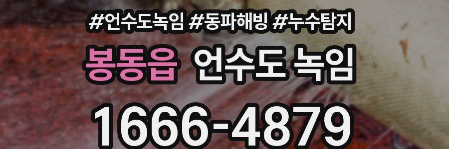 봉동읍 언수도 녹임