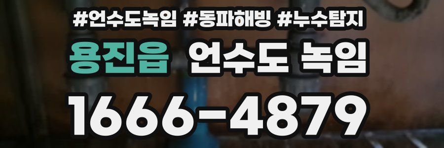 용진읍 언수도 녹임