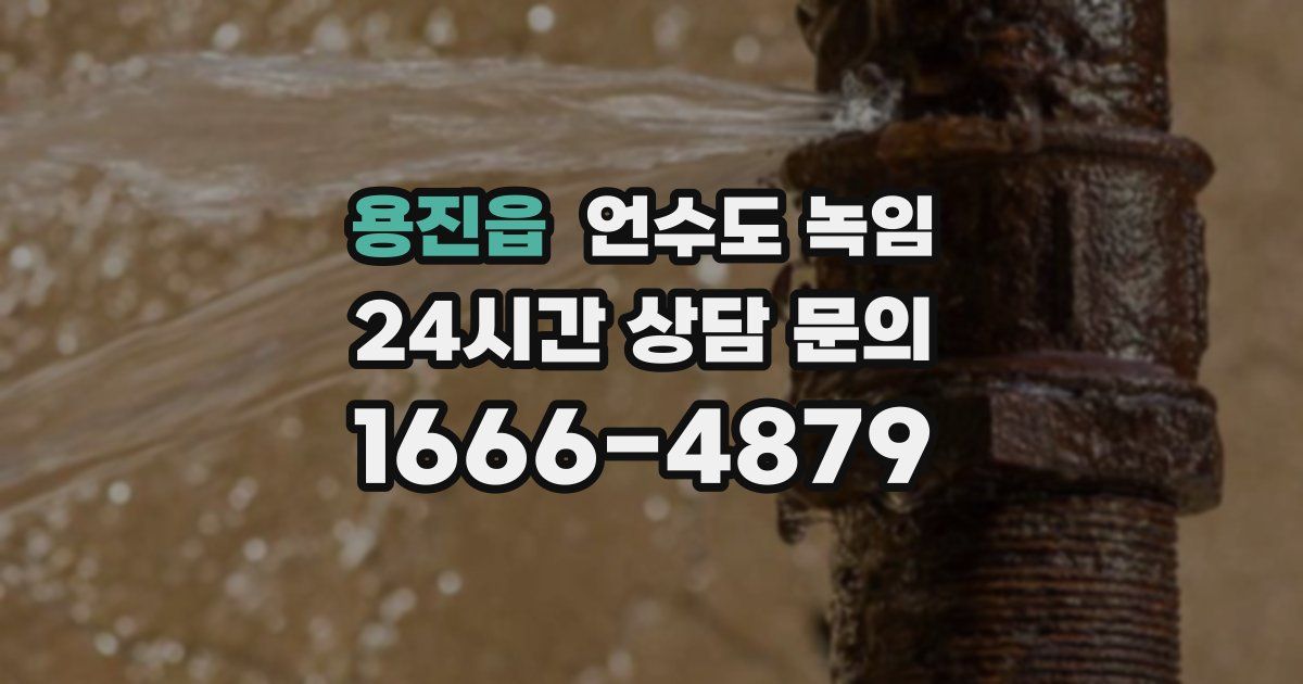 용진읍 언수도 녹임