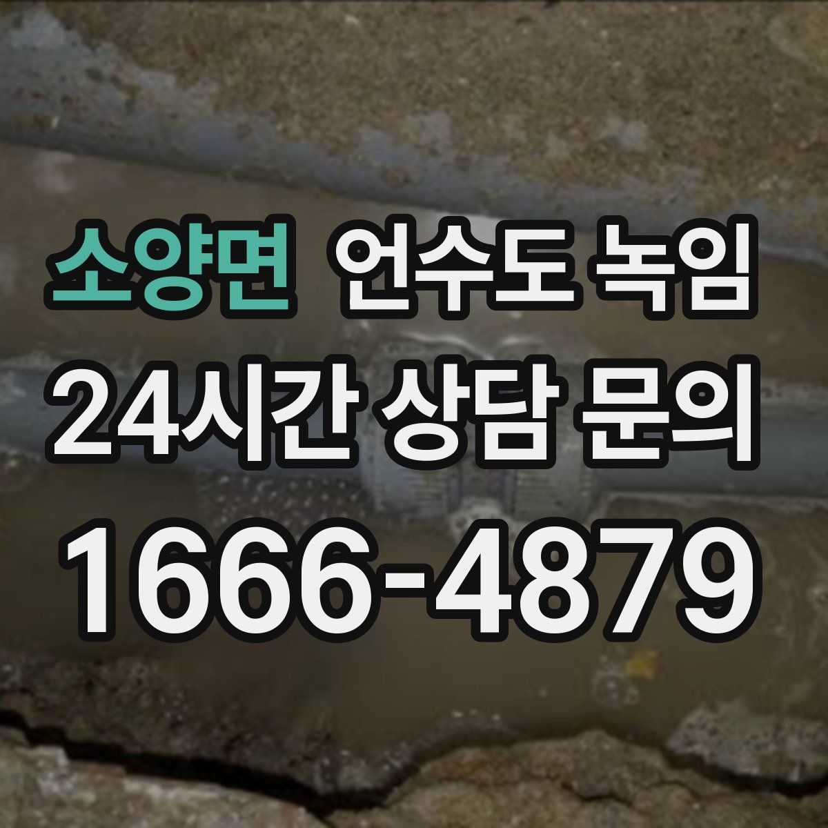 소양면 언수도 녹임