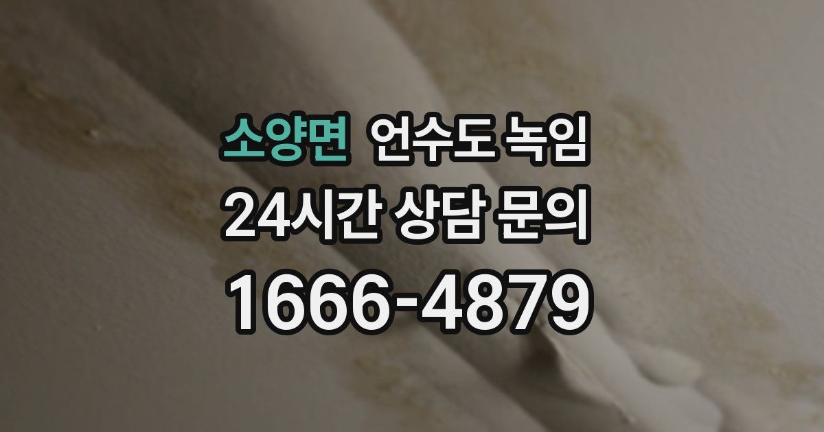 소양면 언수도 녹임