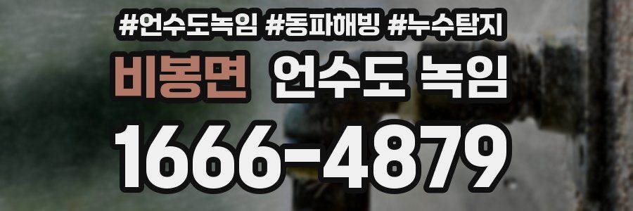 비봉면 언수도 녹임