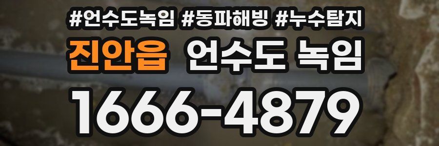 진안읍 언수도 녹임