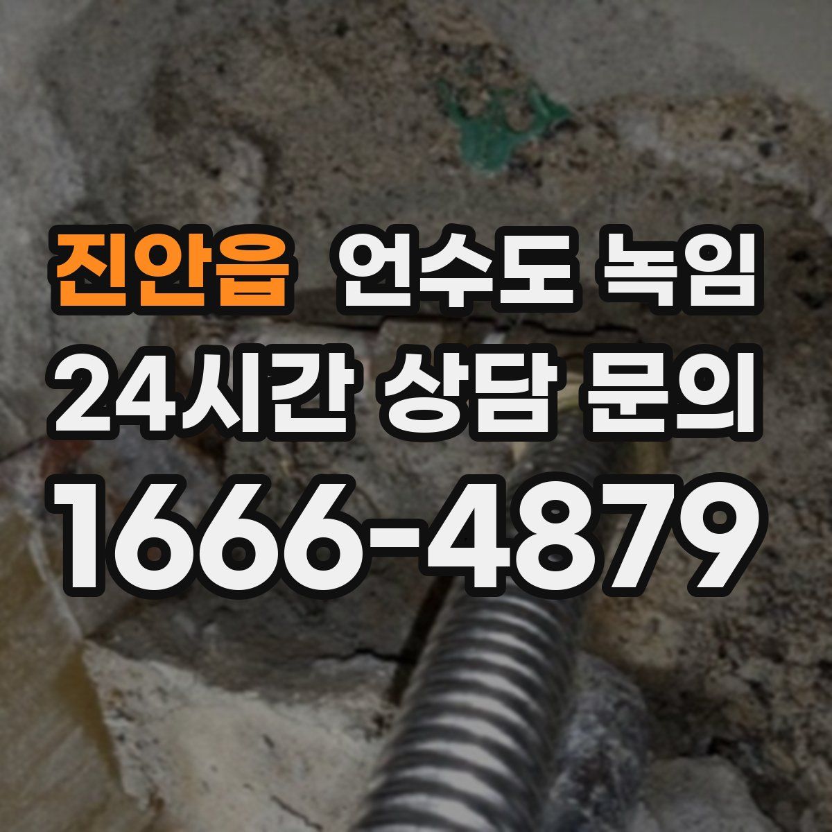 진안읍 언수도 녹임