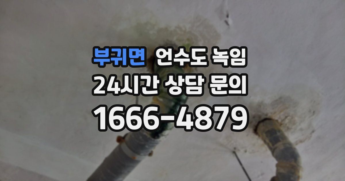 부귀면 언수도 녹임