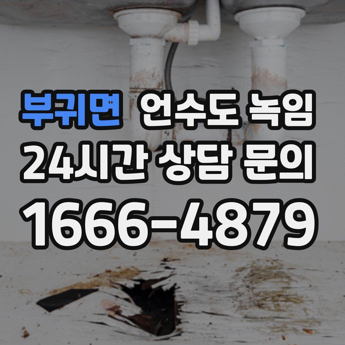 부귀면 언수도 녹임
