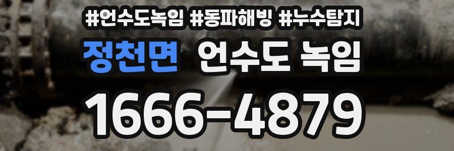 정천면 언수도 녹임