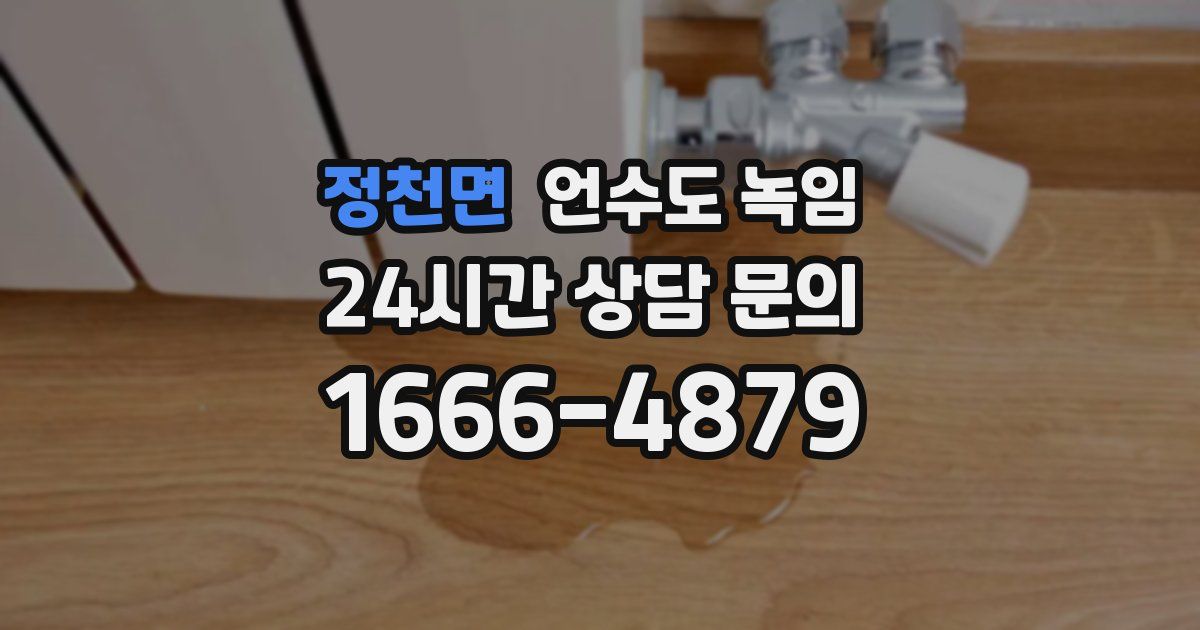 정천면 언수도 녹임