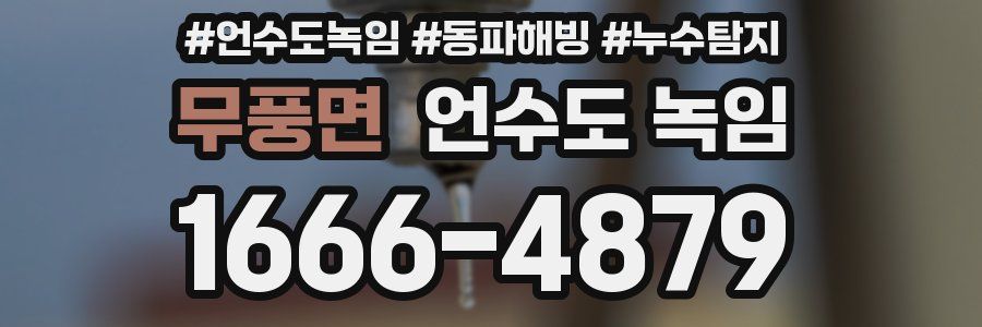 무풍면 언수도 녹임