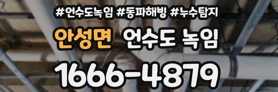 안성면 언수도 녹임