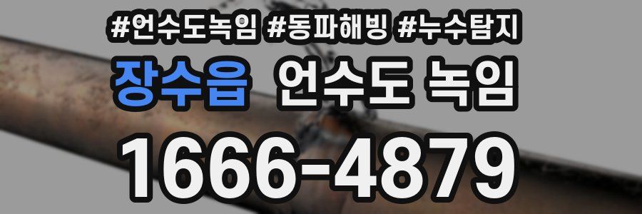 장수읍 언수도 녹임