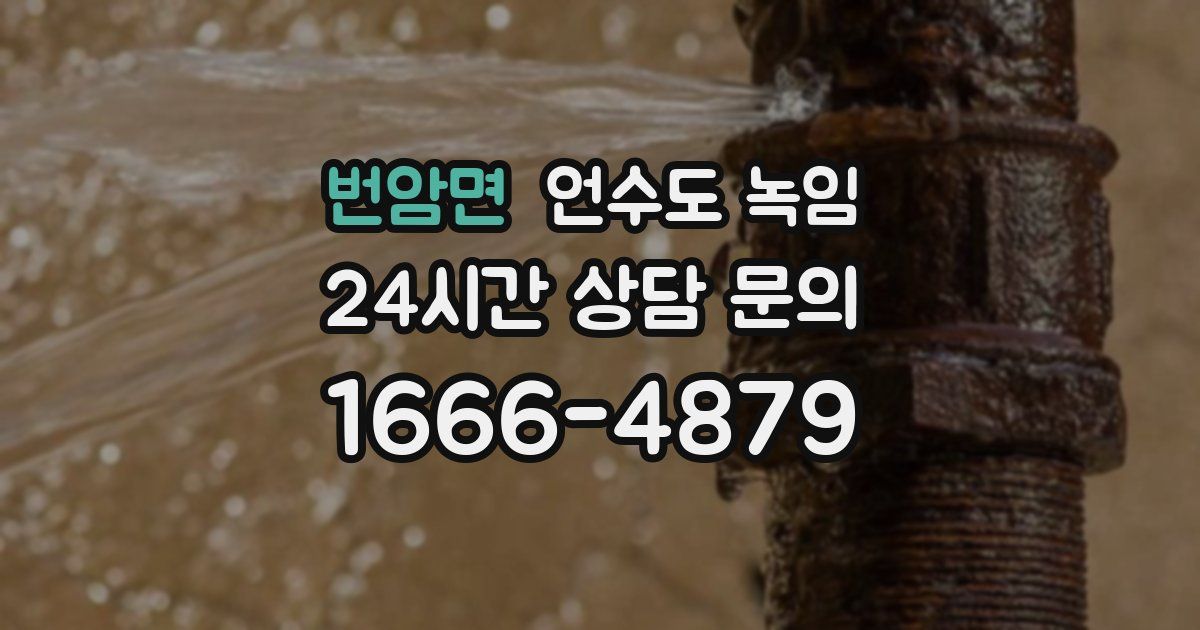 번암면 언수도 녹임