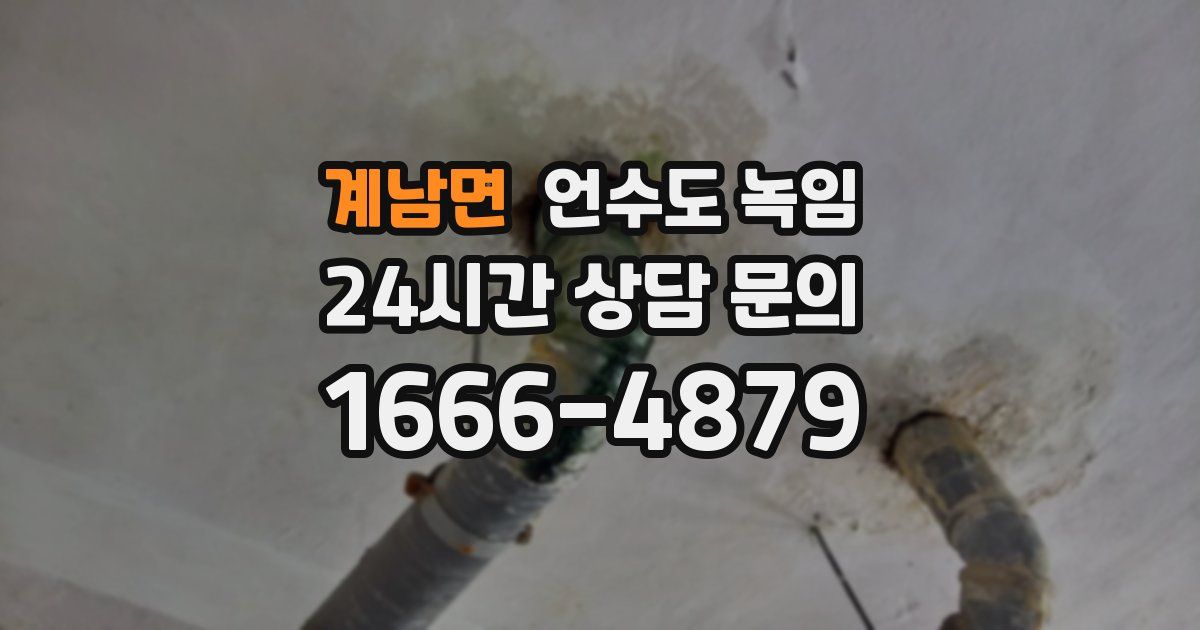 계남면 언수도 녹임