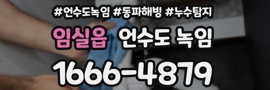 임실읍 언수도 녹임