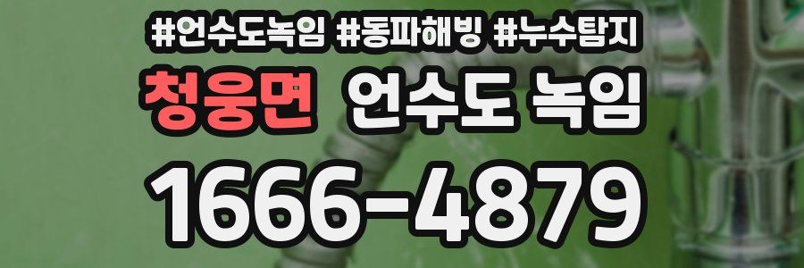 청웅면 언수도 녹임