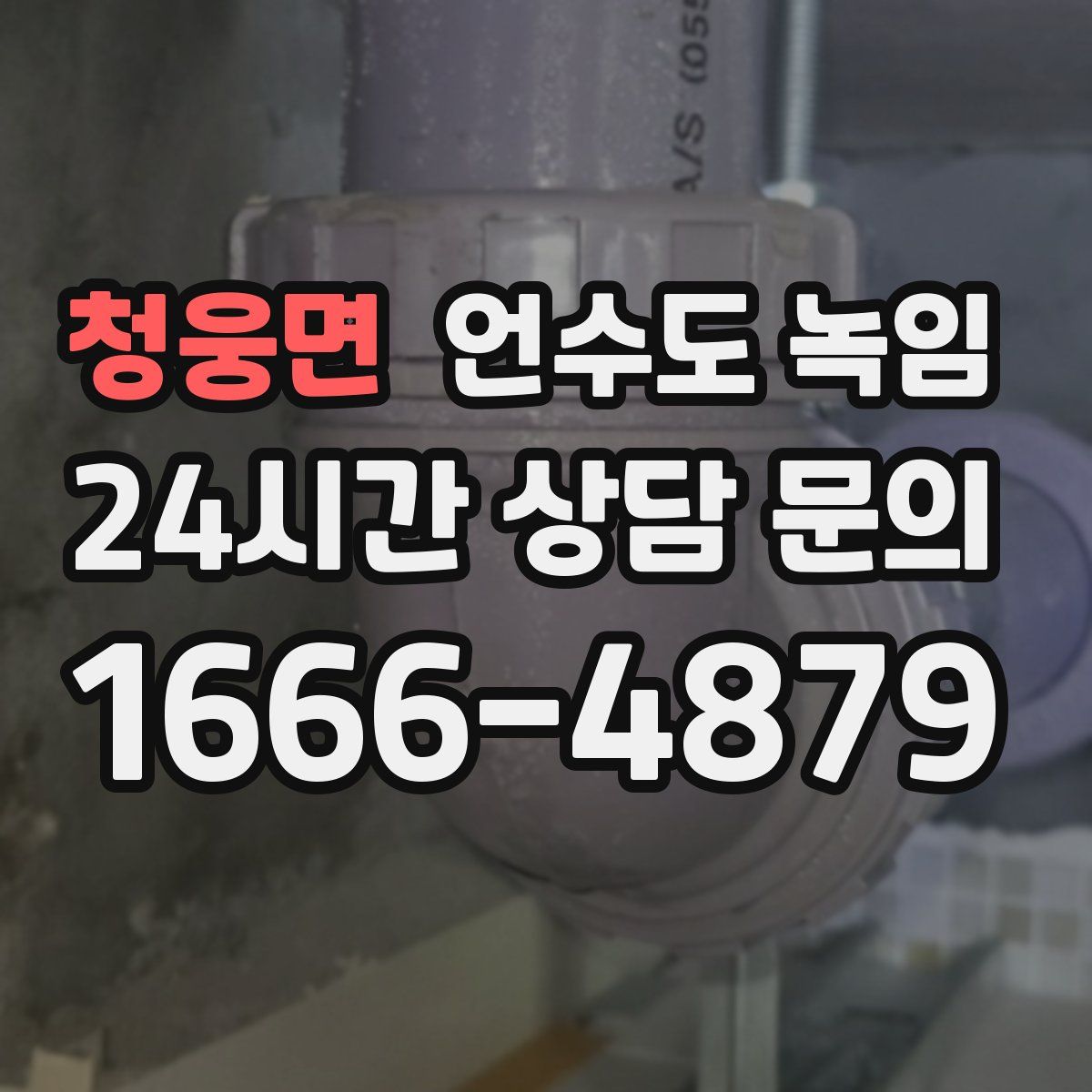 청웅면 언수도 녹임