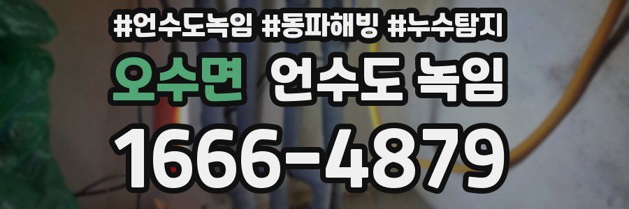 오수면 언수도 녹임