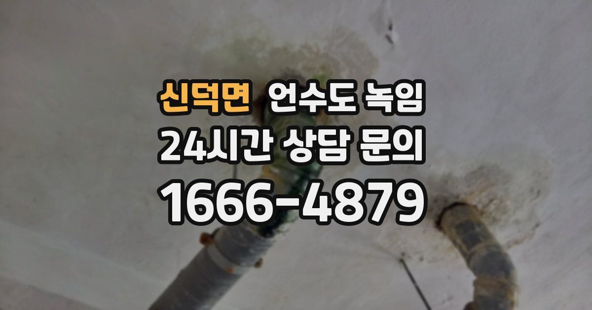 신덕면 언수도 녹임