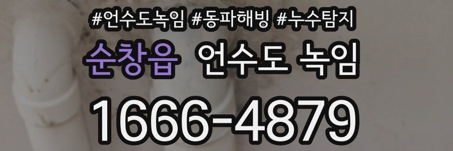 순창읍 언수도 녹임