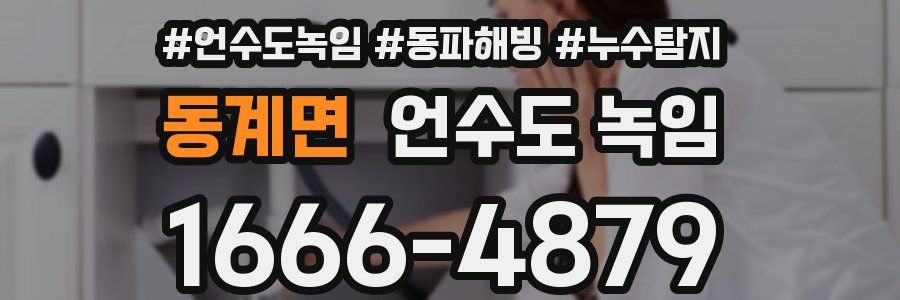 동계면 언수도 녹임