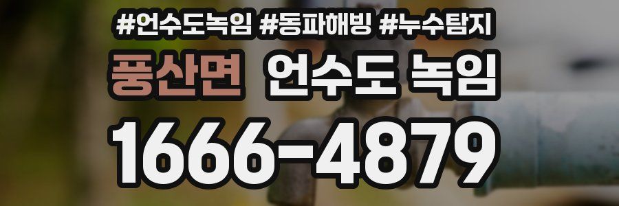 풍산면 언수도 녹임