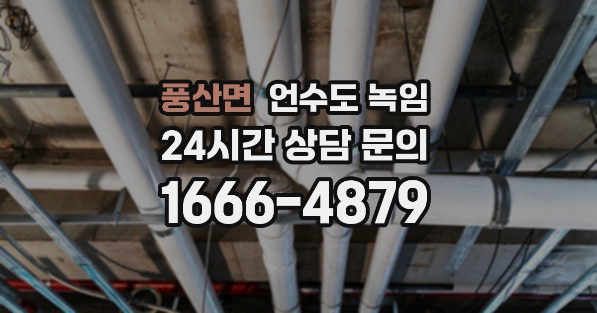 풍산면 언수도 녹임