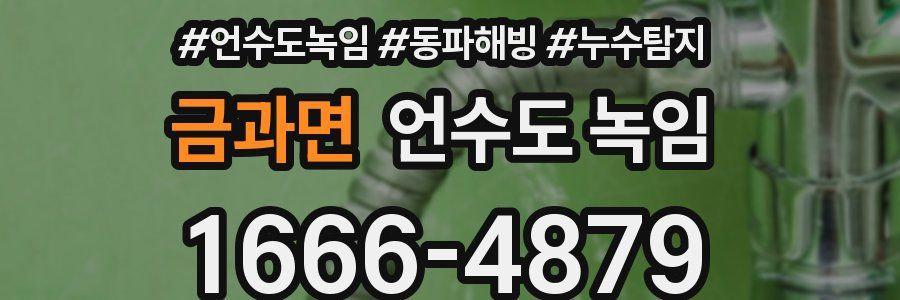 금과면 언수도 녹임