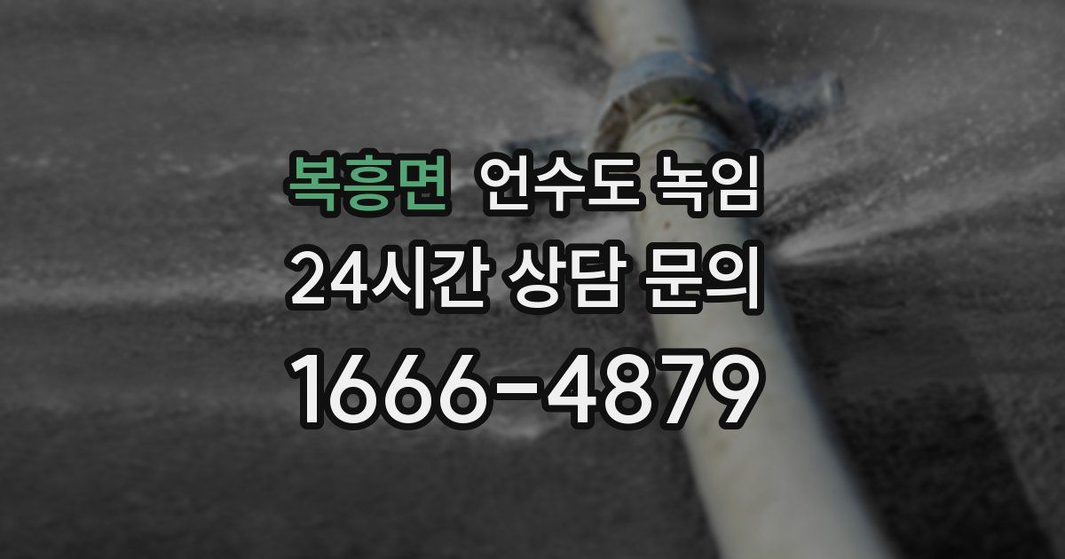 복흥면 언수도 녹임